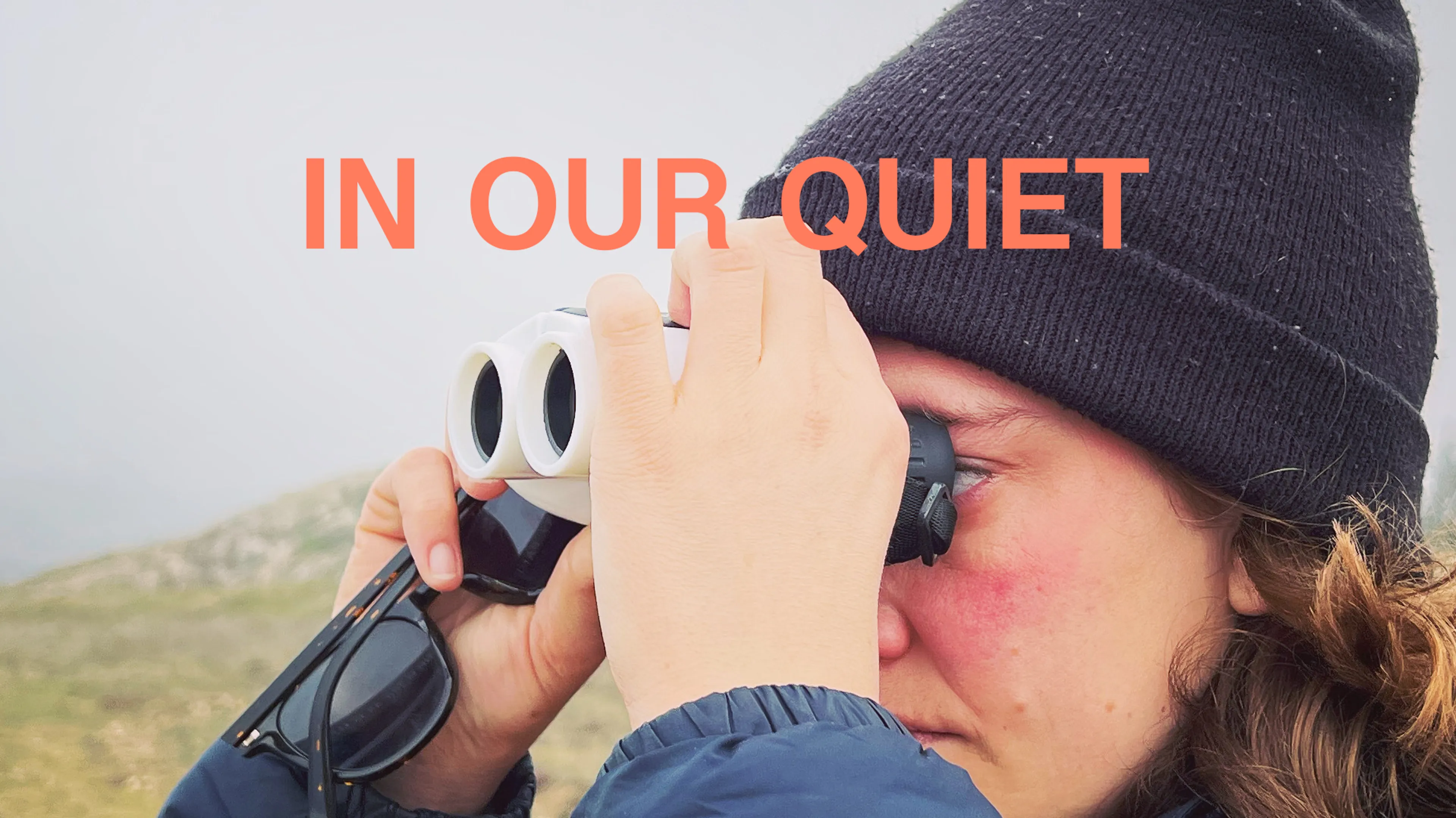 In Our Quiet poster